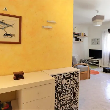 Palmeira Gale - - Pool - By Bedzy 아파트 *