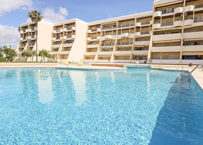 Palmeira Gale - - Pool - By Bedzy